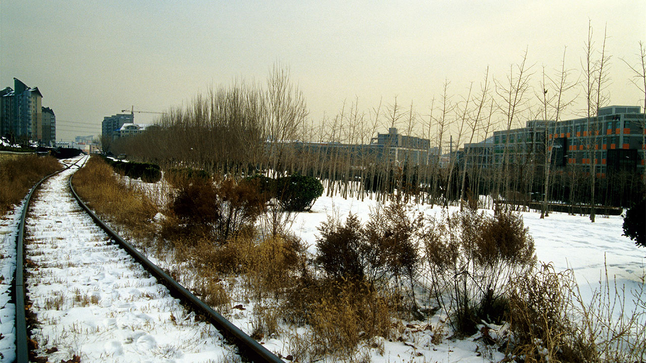 IMG D 004