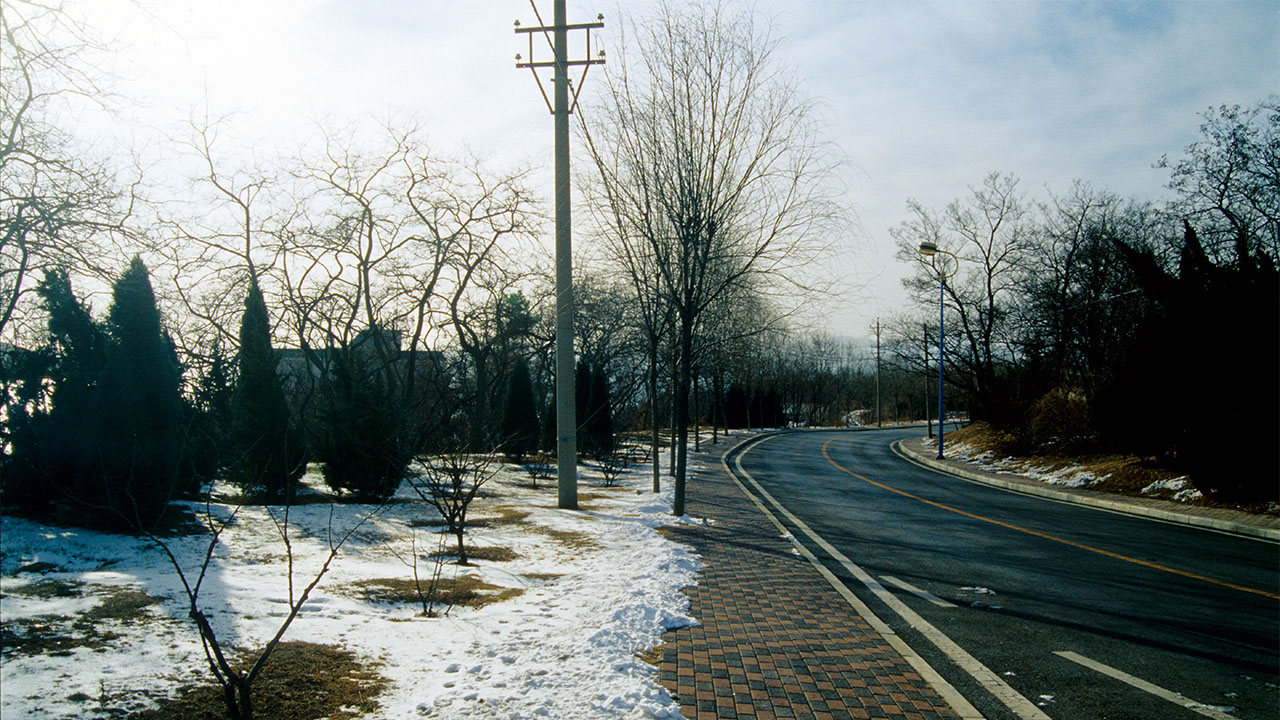 IMG D 021